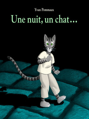 cover image of Une nuit, un chat...
